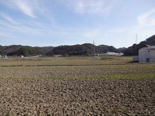 DSC01732.JPG