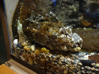 DSC06977.JPG