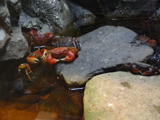 DSC06985.JPG