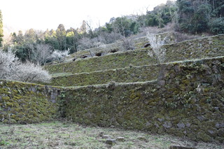 DSC_0196.JPG