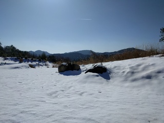 IMG_20170128_104800.jpg