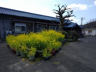 IMG_20170401_120226.jpg